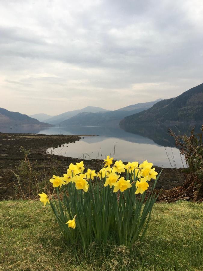 Rowan House B&B Rooms & A Self Catering Apartment Lochgoilhead Exterior foto